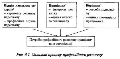 складові процесу професійного розвитку