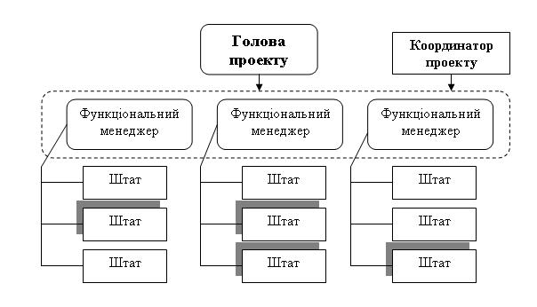 Організація функціонального типу